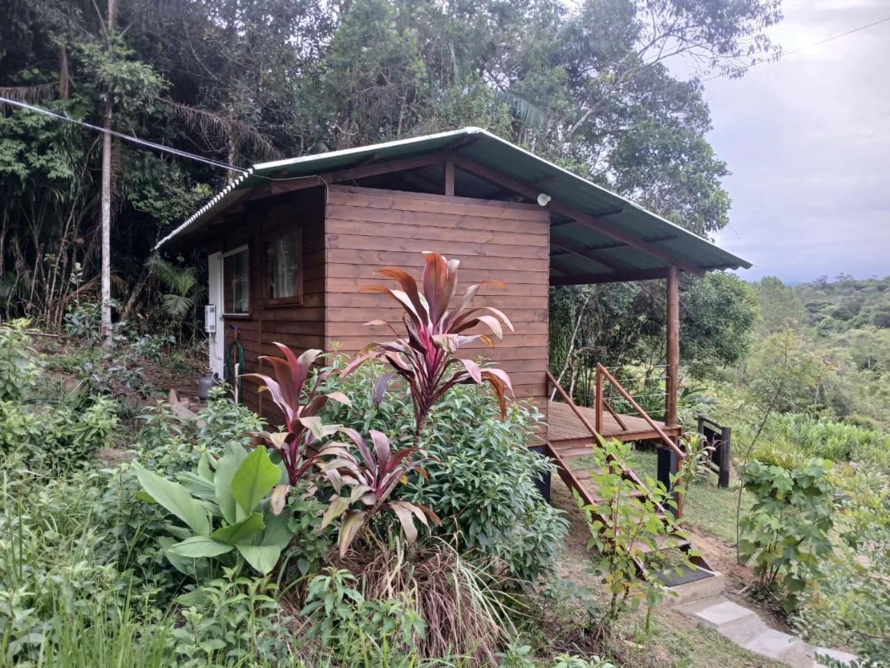Cabana Manaca Da Serra Morretes Eksteriør billede
